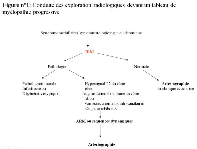 Figure_1-3.jpg