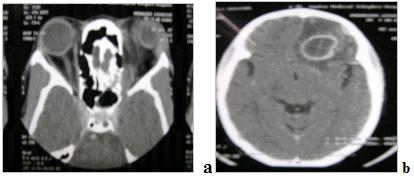 Figure_2-4.jpg