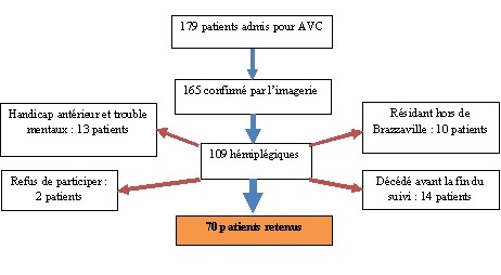 Figure 1 : Echantillonnage de la cohorte (AVC, accident vasculaire cérébral)