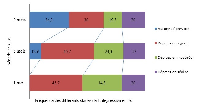 Figure 2: Evolution des différents stades de la dépression au cours du suivi