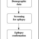 II - 2 - Clinical forms of epilepsy (appendix 2) :